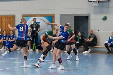 Bild 225 - F HSG Kremperheide/Muensterdorf - HSG Holstein Kiel/Kronshagen : Ergebnis: 31:26